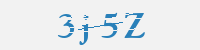 보안문자